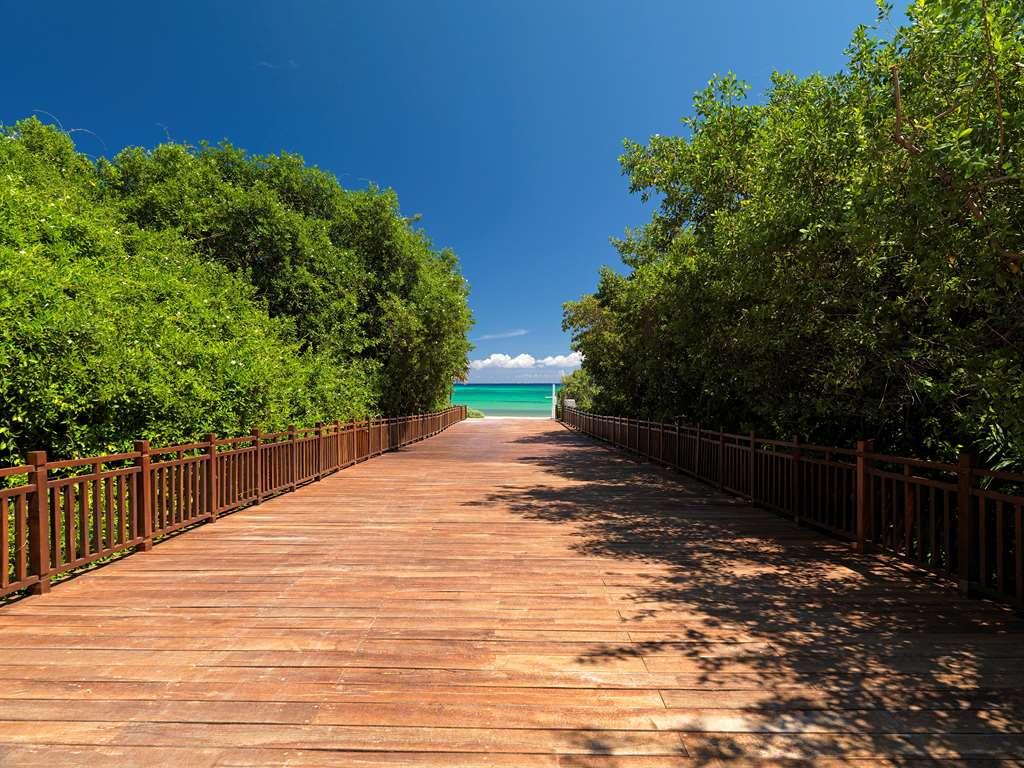 The Reserve Paradisus Playa Del Carmen (Adults Only) Φύση φωτογραφία