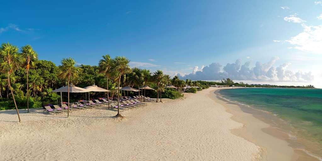 The Reserve Paradisus Playa Del Carmen (Adults Only) Φύση φωτογραφία